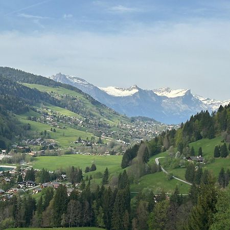 Chalet Saint Victor, Praz Sur Arly Екстер'єр фото